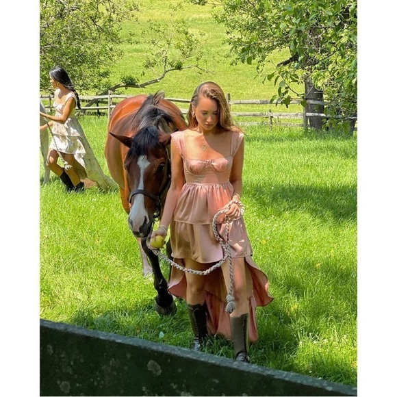 WeWoreWhat Satin Bronze Tiered Hem
Sleeveless High-Low Maxi Dress - size 0 - Picture 2 of 8